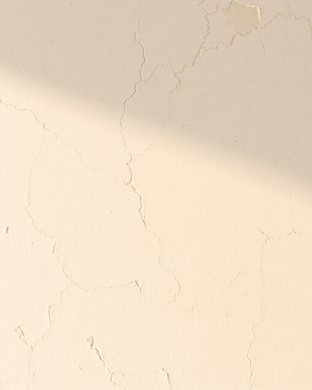 Venetian Plaster finish sample